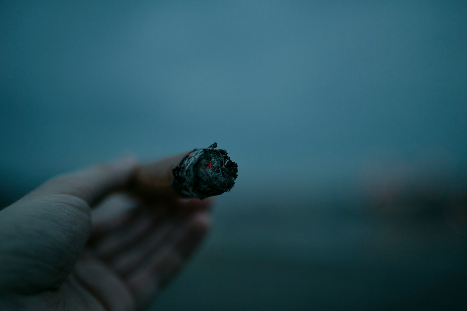 Hand holding a lit cigar.